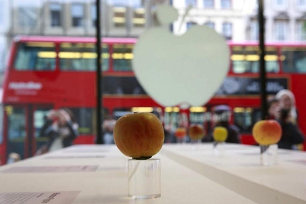 Un apple store così non lo avete mai visto!