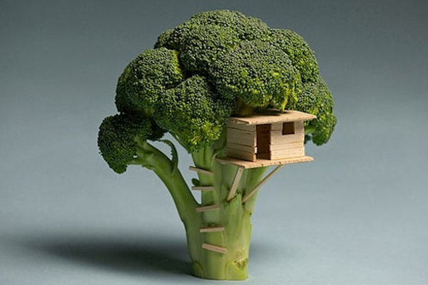 La casa sul broccolo!