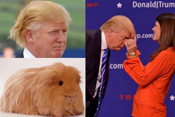 Trump confessa, non ho il toupet ma uso la lacca