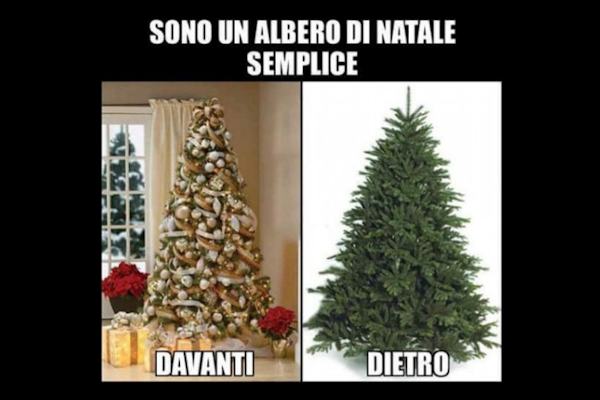 Il segreto degli alberi di Natale