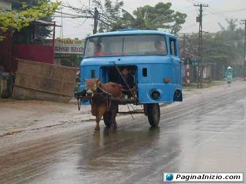 Autobus ecologico!