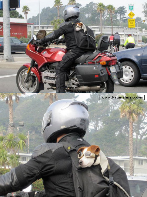 Un motociclista particolare...