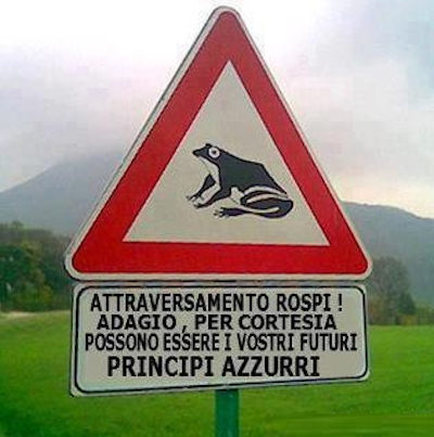 Attenzione, principe azzurro in arrivo!