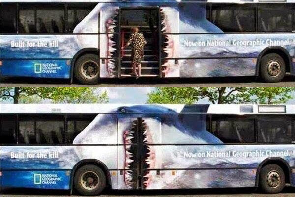 Autobus camuffati