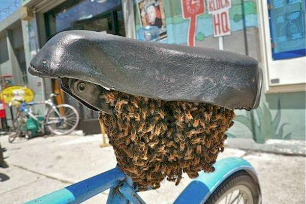 Pedala che ti passa, o forse no?