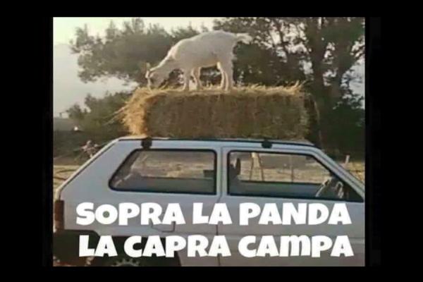 Scioglilingua rivisitato