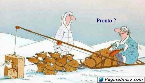 Una slitta particolare...