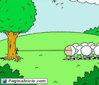 Come nasce un gomitolo di lana...