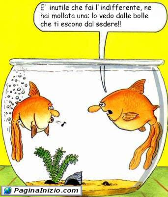 Delle strane bollicine...