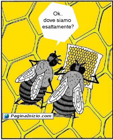 Orientarsi in un alveare