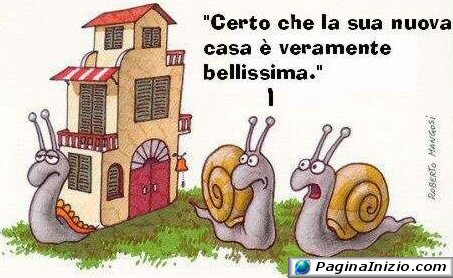 Il guscio del vicino è sempre più bello