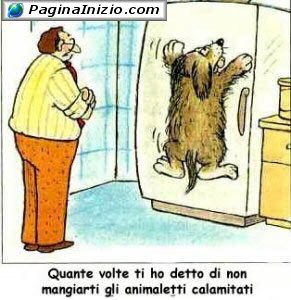 Cani affamati