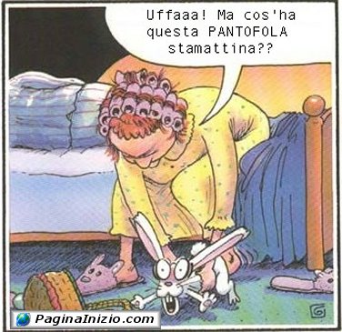 Svegliarsi con...la pantofola sbagliata!