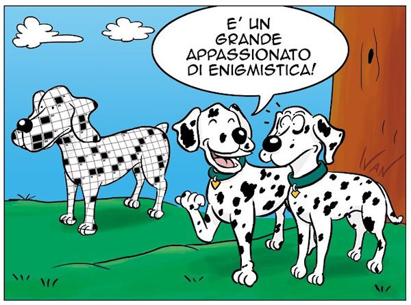 Un dalmata molto particolare