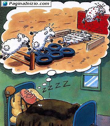 Contare le pecore...