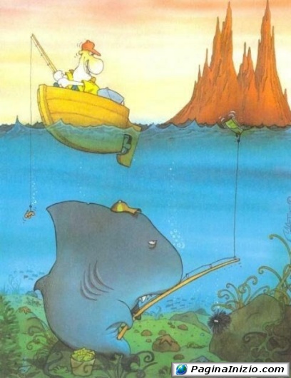 Chi pesca realmente?