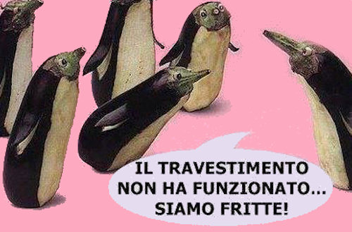 Degli insoliti pinguini...