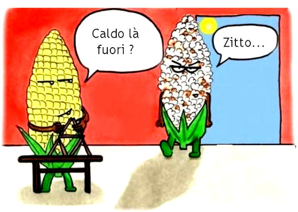 Una pannocchia al sole...