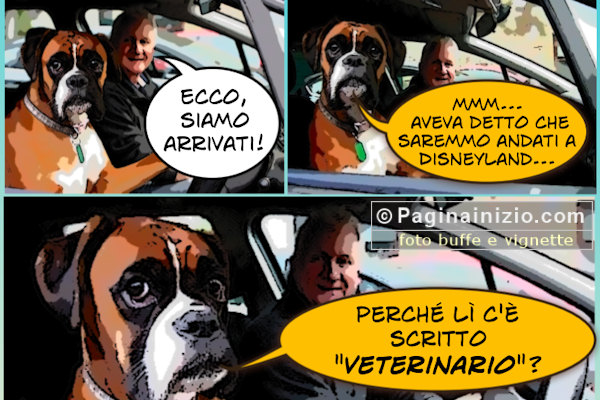 Cani dal veterinario...