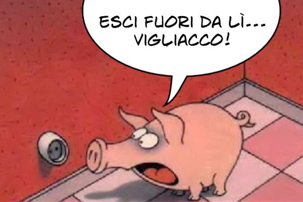 Strane somiglianze