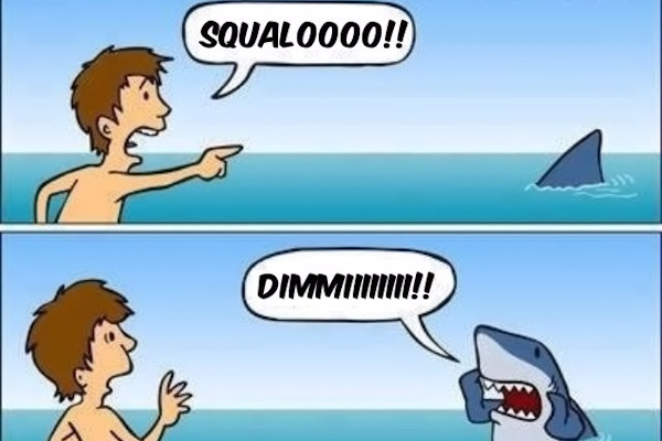 Attenti allo squalo!