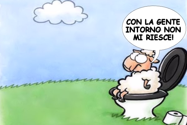 Situazioni imbarazzanti!