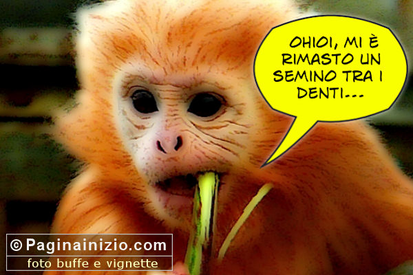 Cose che capitano, a tutti!