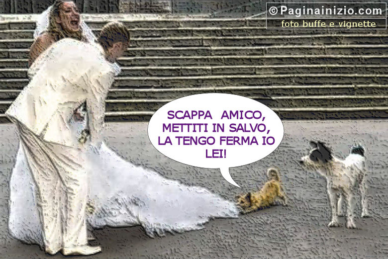 Il cane è il migliore amico dell'uomo