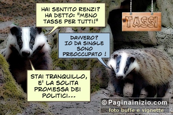 Meno tasse per tutti!