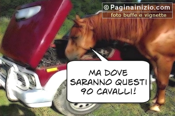 Auto e cavalli