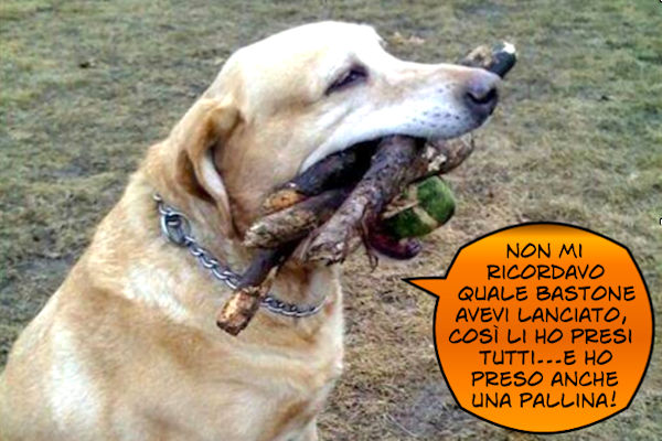 L'imbarazzo della scelta