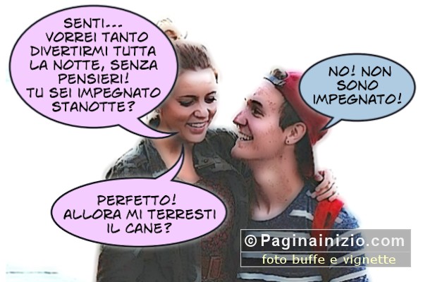 Cercasi dogsitter!
