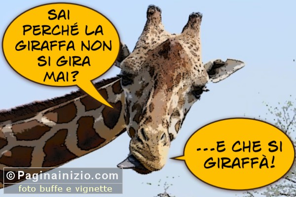 Il segreto della giraffa!