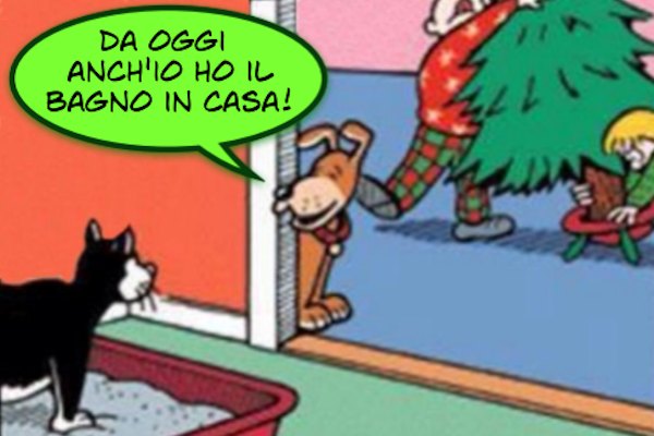L'albero di Natale visto dai cani