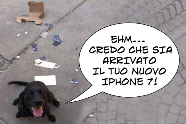 Unboxing in corso...