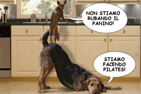La scusa perfetta!