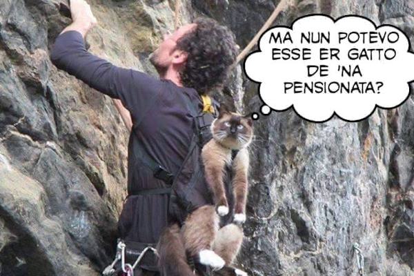 Cosa non si fa per i padroncini