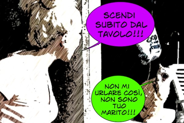 Botta e risposta felina