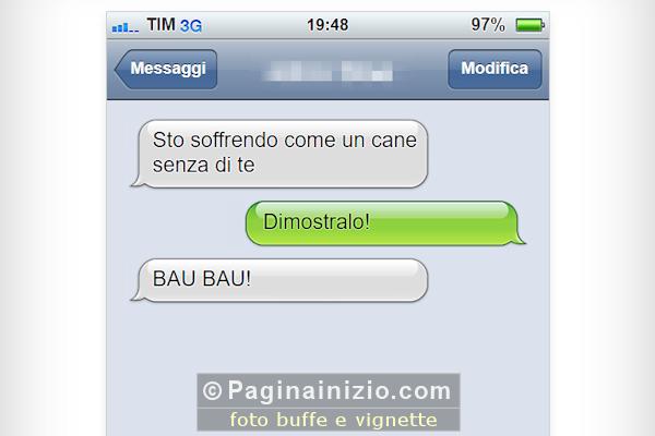 Sofferenza canina