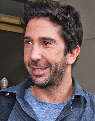 David Schwimmer