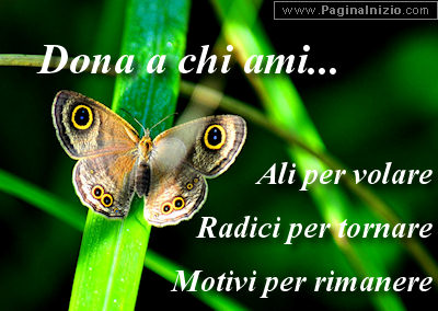 Immagine A Chi Ami Dalai Lama