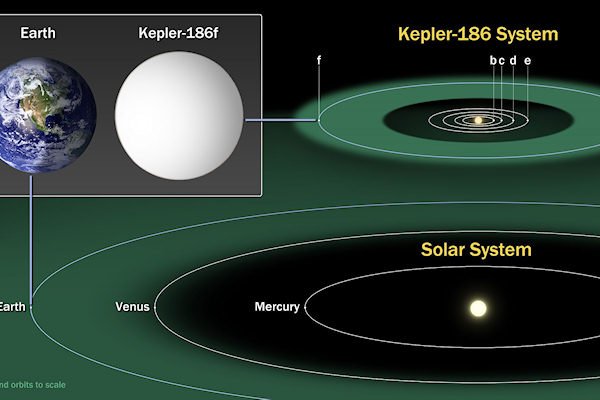 Confronto tra il sistema solare e quello di Kepler-186 f