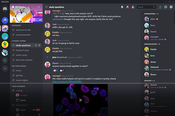 Discord  un programma di messaggistica istantanea che riscuoite un successo crescente