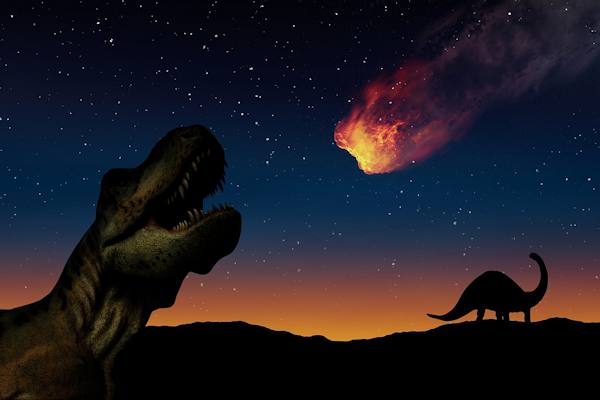 L'estinzione dei dinosauri fu provocata probabilmente da un meteorite