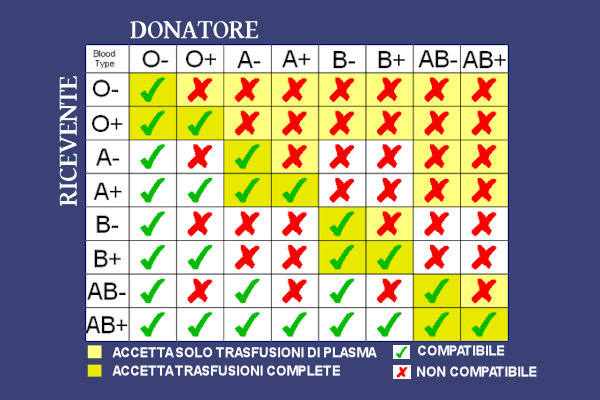 Quali Sono I Gruppi Sanguigni Compatibili