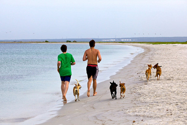 Jogging in spiaggia