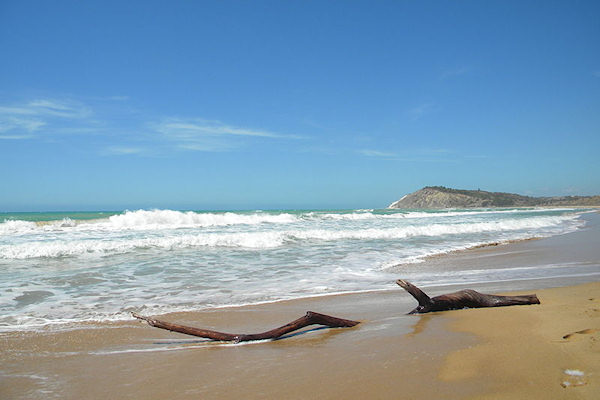 Mare