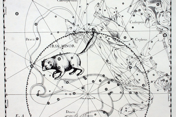 Raffigurazione dell'Orsa Minore