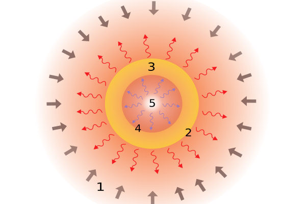 Struttura di una protostella