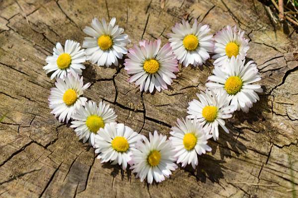 Lo sugar dating, un fenomeno in crescita